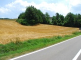 Tn DSC 0467